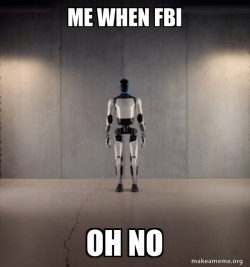 Tesla Robot