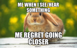Regretful Rabbit