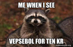 Evil Plotting Raccoon