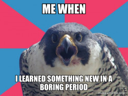 Millennial Falcon