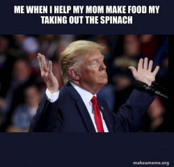 Trump Impeached