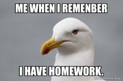 Stuff That Didn't Happen Seagull