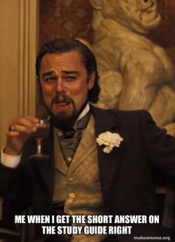 Leonardo DiCaprio Laughing Django