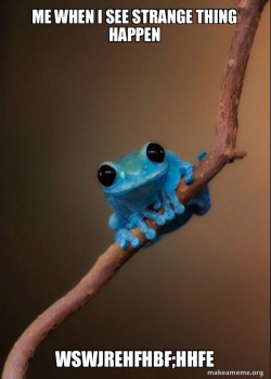 Small Fact Frog