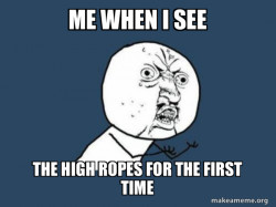 Y U No