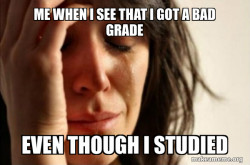 First World Problems