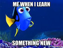 Dory