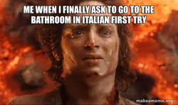 Frodo it's over it's done