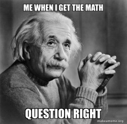 Serious Albert Einstein