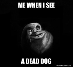 Save The Dogs!
