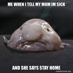 Blobfish