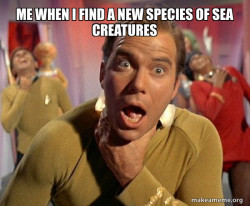 Captain Kirk Choking