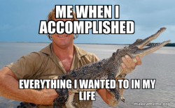 Steve irwin