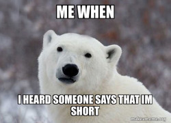 Popular Opinion Polar Bear