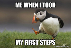 Unpopular Opinion Puffin