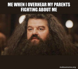 Hagrid - I should not have said that