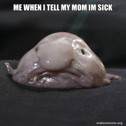 Blobfish