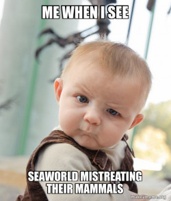 Skeptical Baby