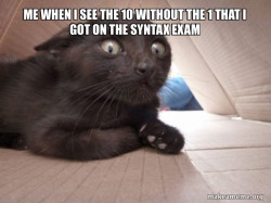 Schitzo Cat