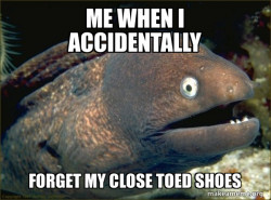 Bad Joke Eel