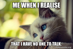First World Cat Problems