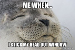 Satisfied Seal