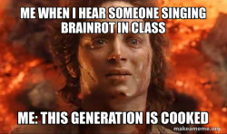 Frodo it's over it's done