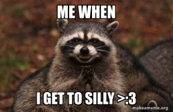 Evil Plotting Raccoon