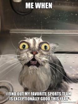 Cat bath