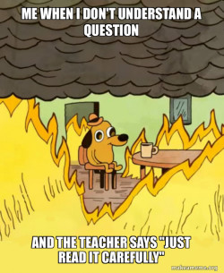 This Is Fine