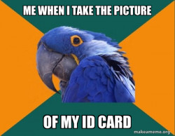 Paranoid Parrot