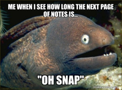 Bad Joke Eel