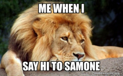Confession Lion