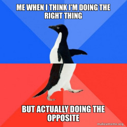 Socially Awkward Awesome Penguin