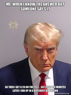 Donald Trump Mugshot
