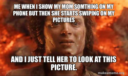 Frodo it's over it's done