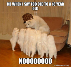 Scumbag Storytelling Dog