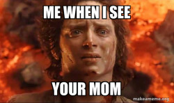Frodo it's over it's done