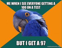 Paranoid Parrot