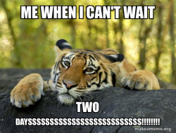 Confession Tiger