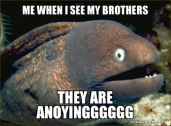 Bad Joke Eel