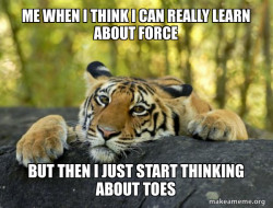 Confession Tiger
