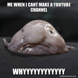 Blobfish