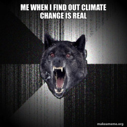 Insanity Wolf