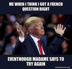 Trump Impeached