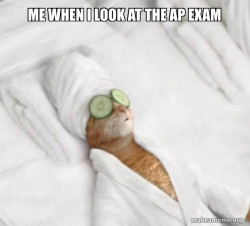 Pampered Cat Meme