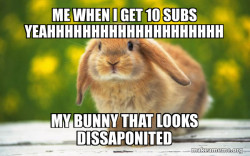 Regretful Rabbit thats angey