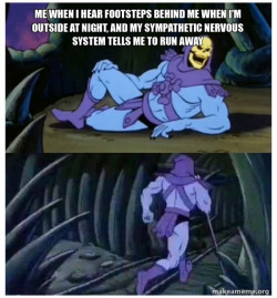 Skeletor Facts