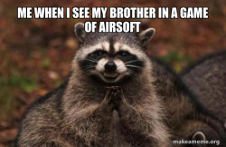 Evil Plotting Raccoon