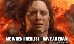 Frodo it's over it's done
